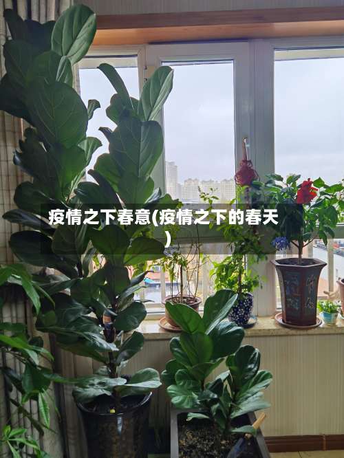 疫情之下春意(疫情之下的春天)-第2张图片