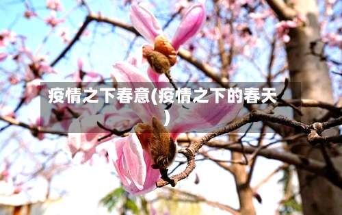疫情之下春意(疫情之下的春天)