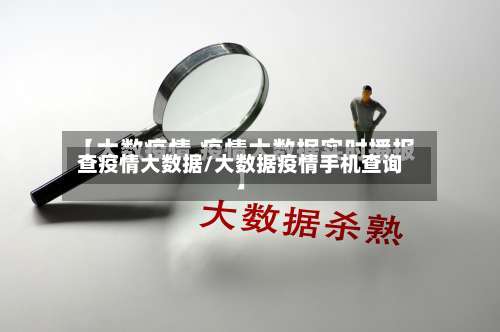 查疫情大数据/大数据疫情手机查询