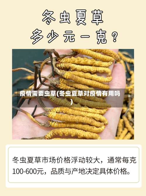 疫情需要虫草(冬虫夏草对疫情有用吗)-第2张图片