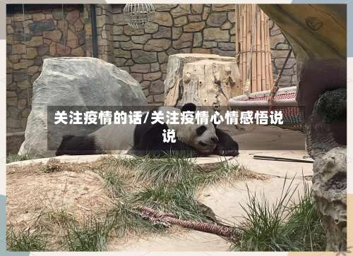 关注疫情的话/关注疫情心情感悟说说