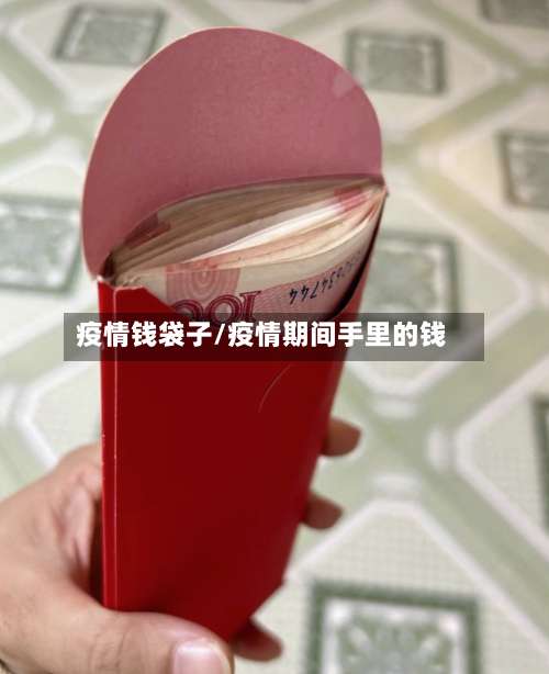疫情钱袋子/疫情期间手里的钱