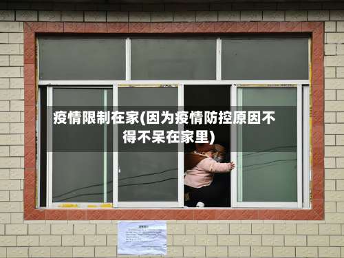 疫情限制在家(因为疫情防控原因不得不呆在家里)-第3张图片