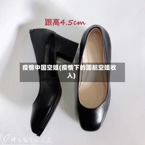 疫情中国空姐(疫情下的国航空姐收入)