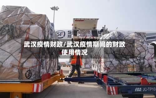 武汉疫情财政/武汉疫情期间的财政使用情况