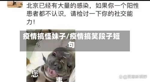 疫情搞怪妹子/疫情搞笑段子短句