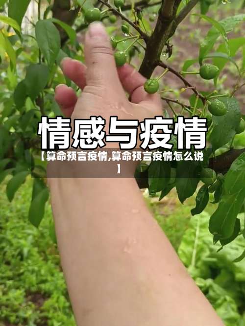 【算命预言疫情,算命预言疫情怎么说】