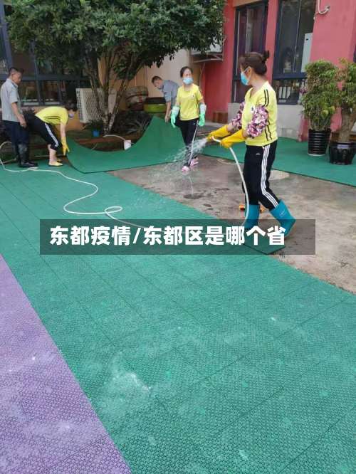 东都疫情/东都区是哪个省-第3张图片
