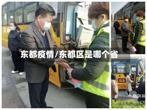 东都疫情/东都区是哪个省-第2张图片