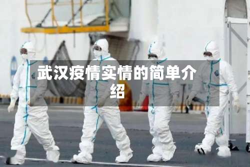 武汉疫情实情的简单介绍-第3张图片