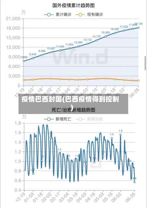疫情巴西封国(巴西疫情得到控制)-第2张图片