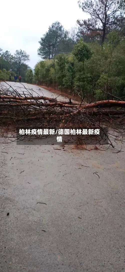 柏林疫情最新/德国柏林最新疫情