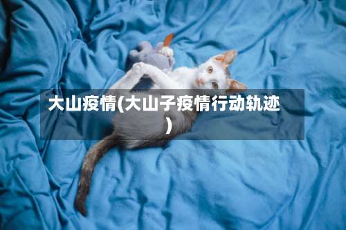 大山疫情(大山子疫情行动轨迹)