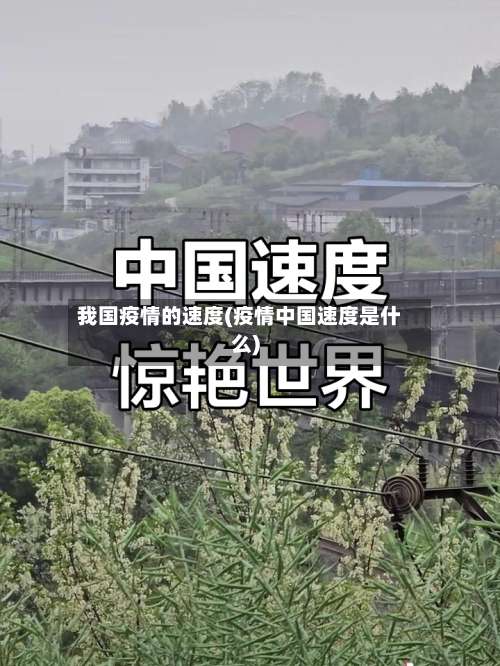 我国疫情的速度(疫情中国速度是什么)-第3张图片