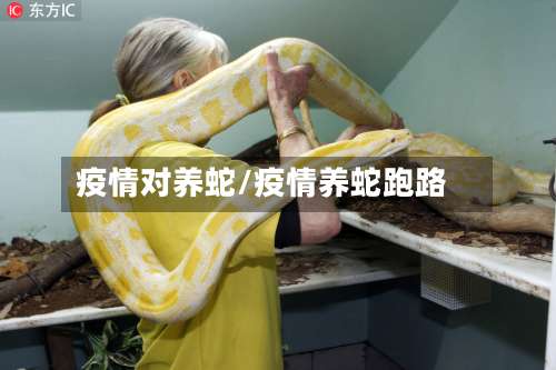 疫情对养蛇/疫情养蛇跑路-第2张图片