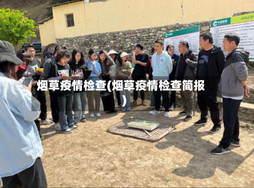 烟草疫情检查(烟草疫情检查简报)