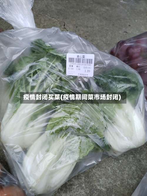 疫情封闭买菜(疫情期间菜市场封闭)-第3张图片
