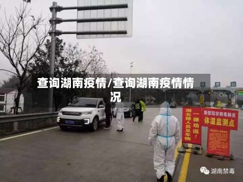 查询湖南疫情/查询湖南疫情情况