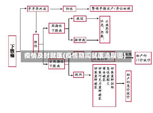 疫情及时就医(疫情期间就医流程图)