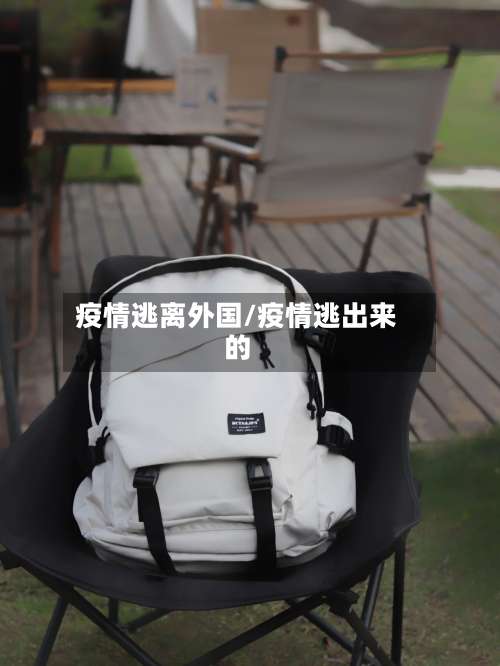 疫情逃离外国/疫情逃出来的-第3张图片
