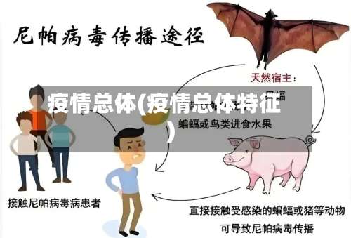 疫情总体(疫情总体特征)