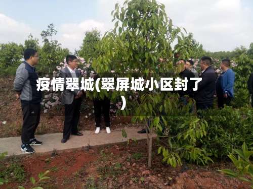 疫情翠城(翠屏城小区封了)