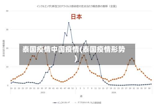 泰国疫情中国疫情(泰国疫情形势)-第3张图片