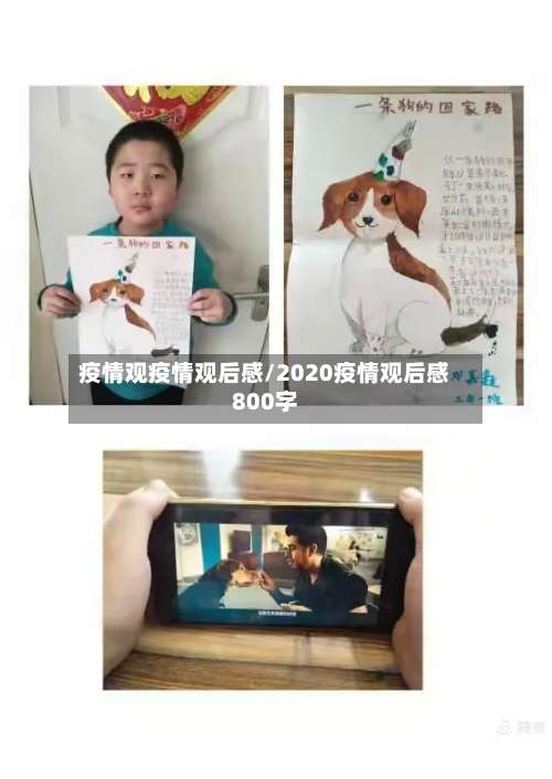 疫情观疫情观后感/2020疫情观后感800字-第2张图片