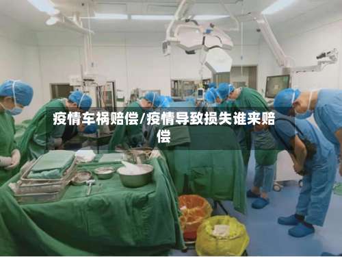 疫情车祸赔偿/疫情导致损失谁来赔偿