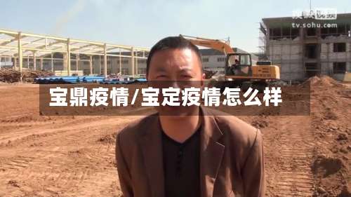 宝鼎疫情/宝定疫情怎么样-第2张图片