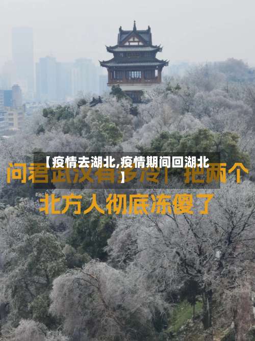 【疫情去湖北,疫情期间回湖北】-第2张图片