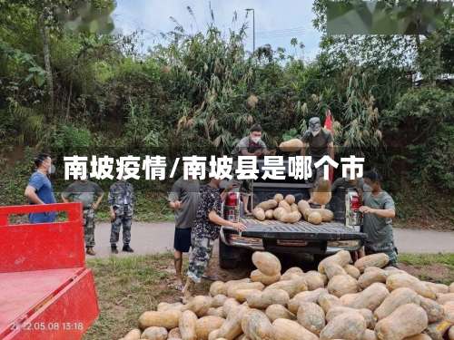 南坡疫情/南坡县是哪个市