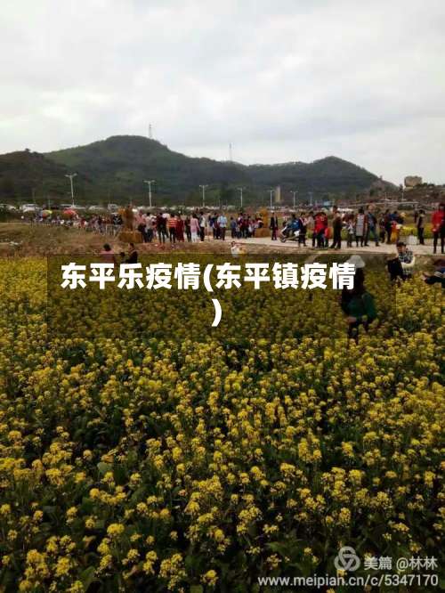 东平乐疫情(东平镇疫情)-第2张图片