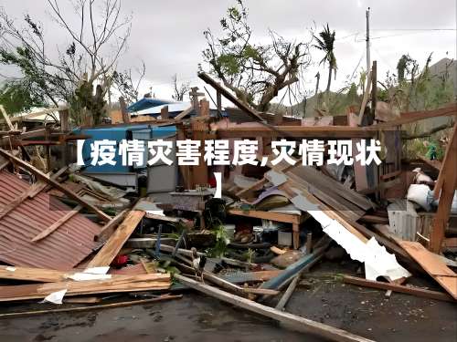 【疫情灾害程度,灾情现状】-第3张图片