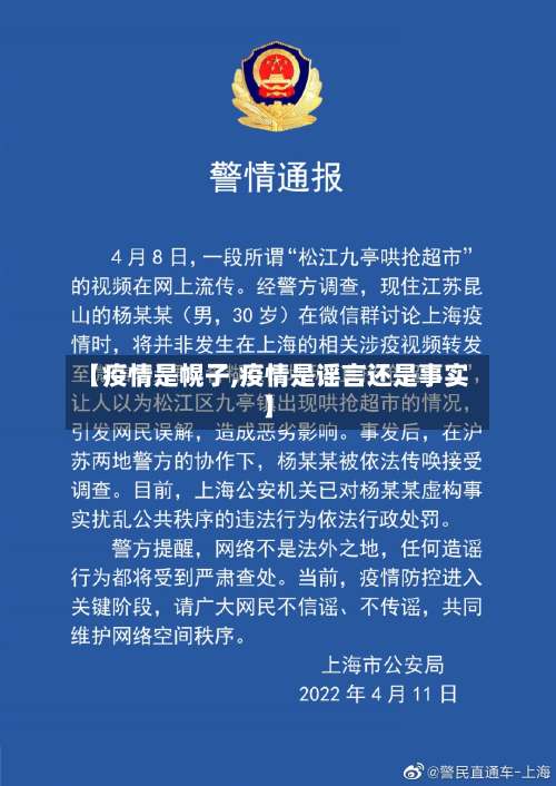 【疫情是幌子,疫情是谣言还是事实】-第2张图片