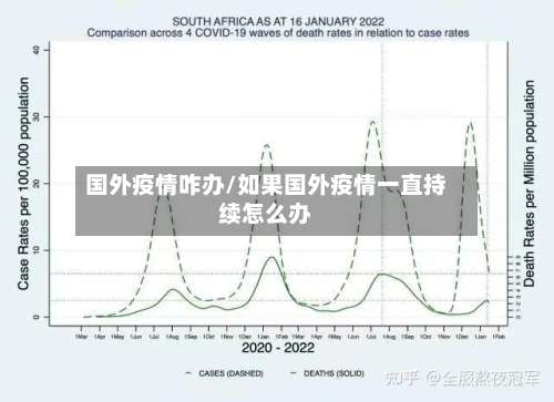 国外疫情咋办/如果国外疫情一直持续怎么办-第2张图片