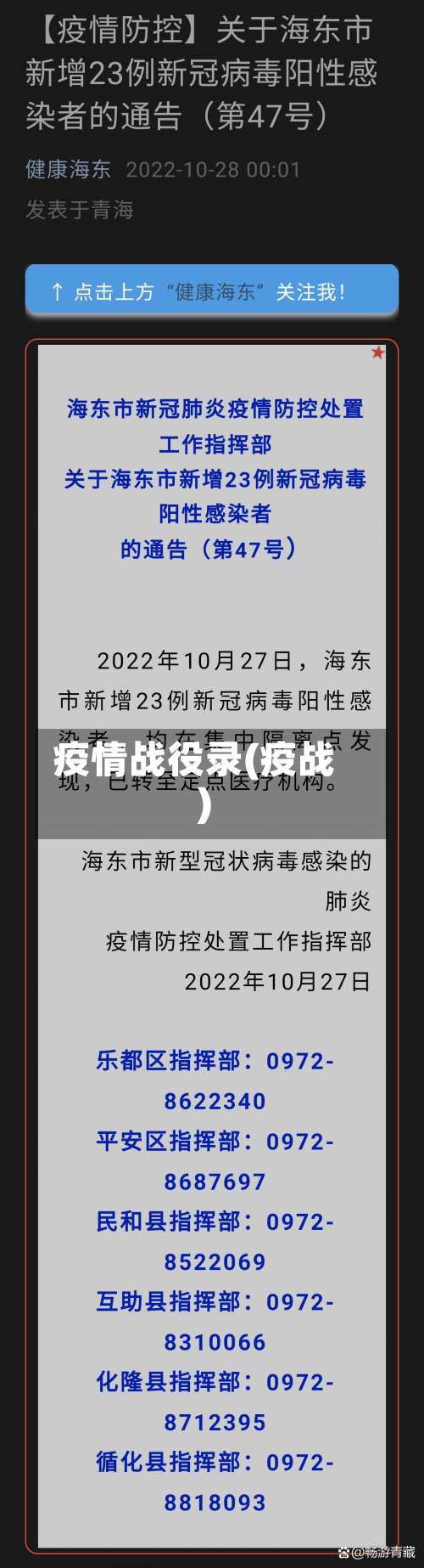 疫情战役录(疫战)-第2张图片