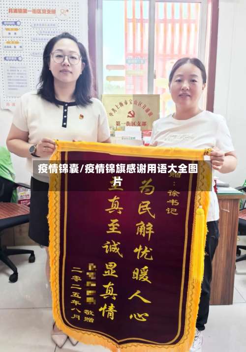 疫情锦囊/疫情锦旗感谢用语大全图片-第2张图片