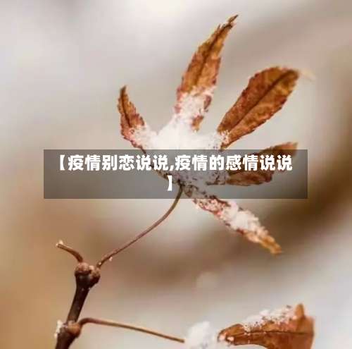 【疫情别恋说说,疫情的感情说说】