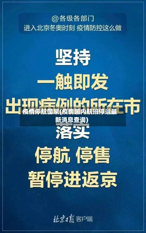 疫情停航国家(疫情国内航班停运最新消息查询)-第2张图片