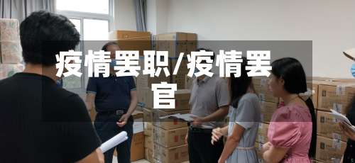 疫情罢职/疫情罢官-第2张图片