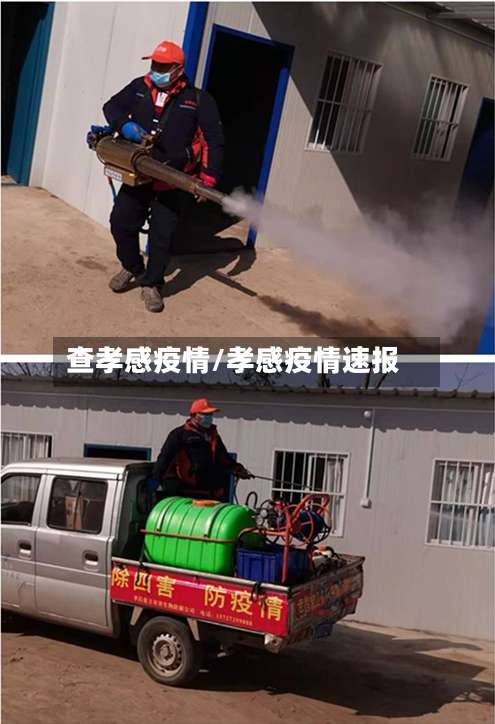 查孝感疫情/孝感疫情速报-第3张图片