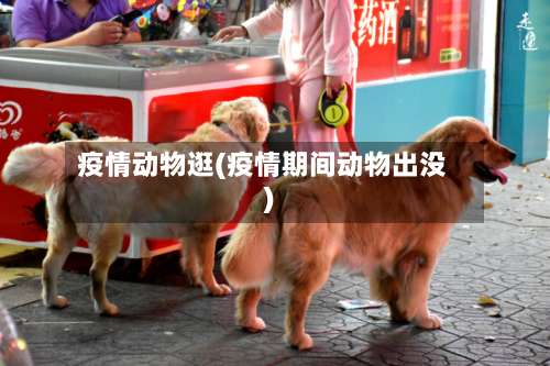 疫情动物逛(疫情期间动物出没)