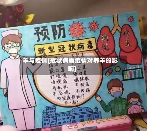 羊与疫情(冠状病毒疫情对养羊的影响)-第2张图片