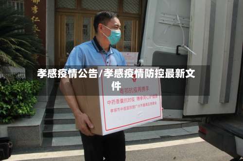 孝感疫情公告/孝感疫情防控最新文件-第3张图片