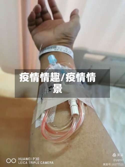 疫情情趣/疫情情景-第2张图片