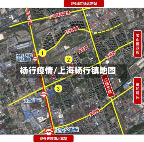 杨行疫情/上海杨行镇地图