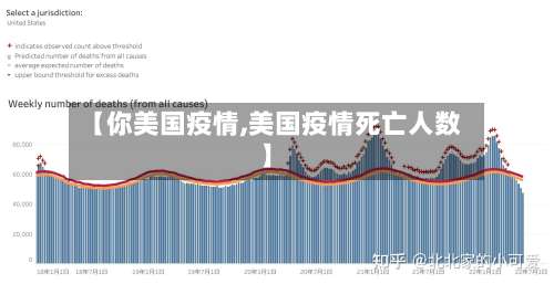 【你美国疫情,美国疫情死亡人数】