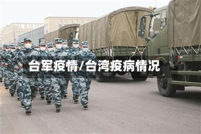 台军疫情/台湾疫病情况-第2张图片