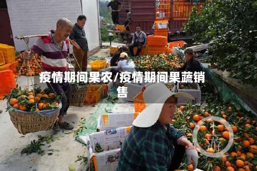 疫情期间果农/疫情期间果蔬销售-第3张图片
